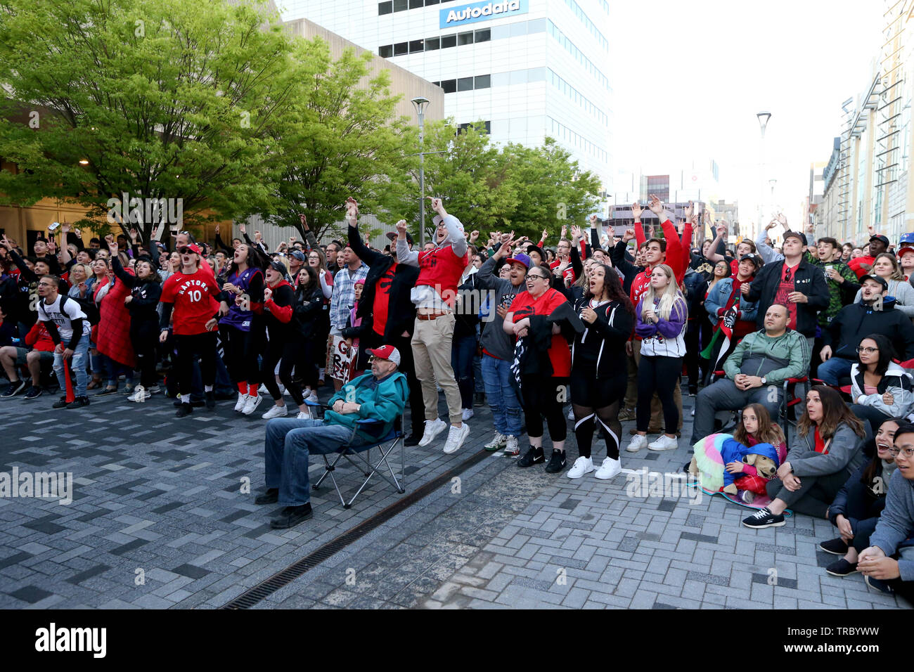 Fans sand head down to Jurassic Park in Downtown London Ontario to Cheer on the Toronto Raptors for Game 2 of the NBA Finals. Stock Photo