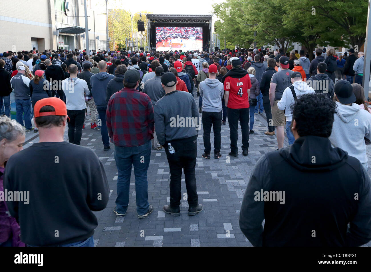 Fans sand head down to Jurassic Park in Downtown London Ontario to Cheer on the Toronto Raptors for Game 2 of the NBA Finals. Stock Photo