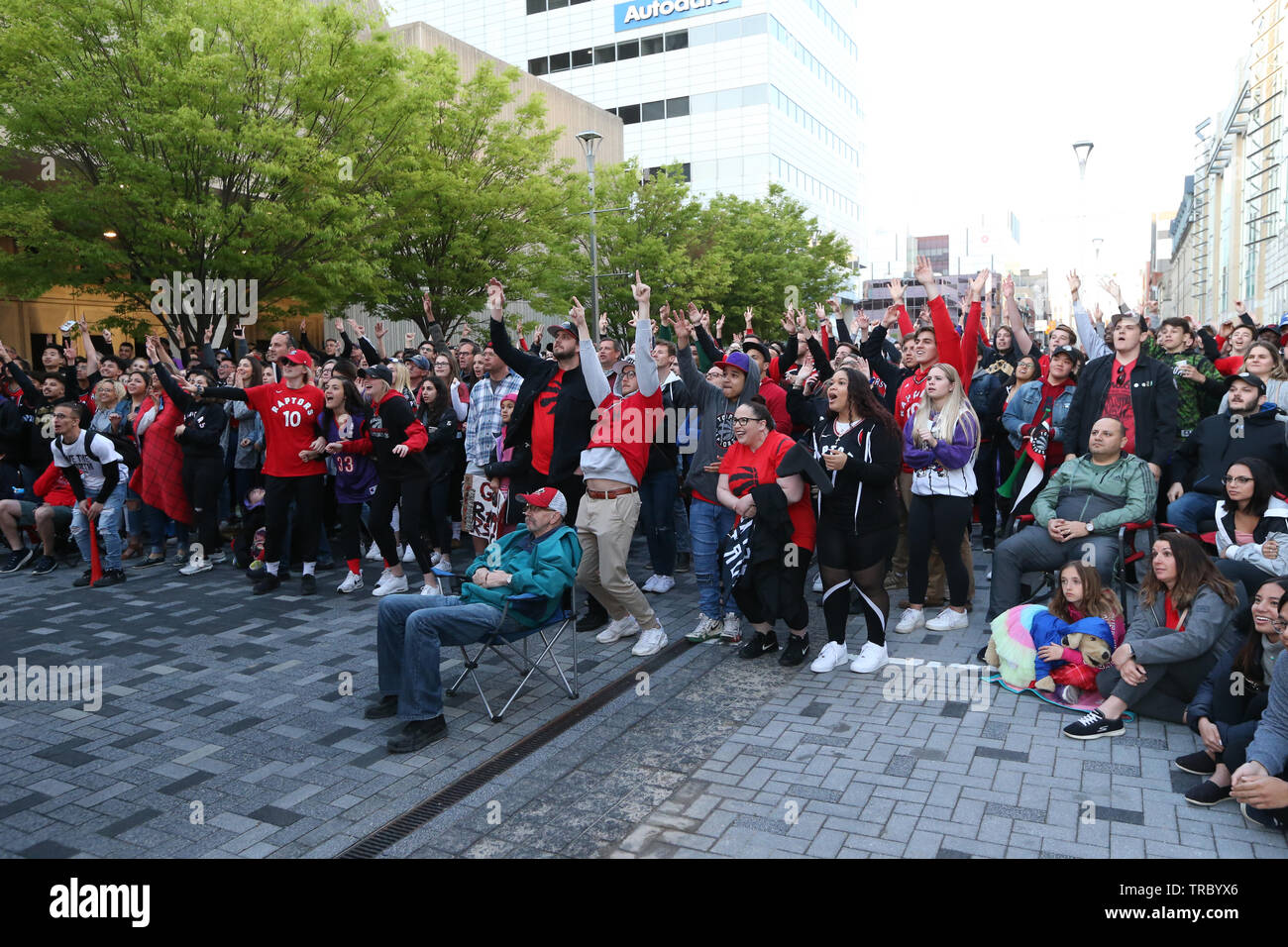 Fans sand head down to Jurassic Park in Downtown London Ontario to Cheer on the Toronto Raptors for Game 2 of the NBA Finals. Stock Photo