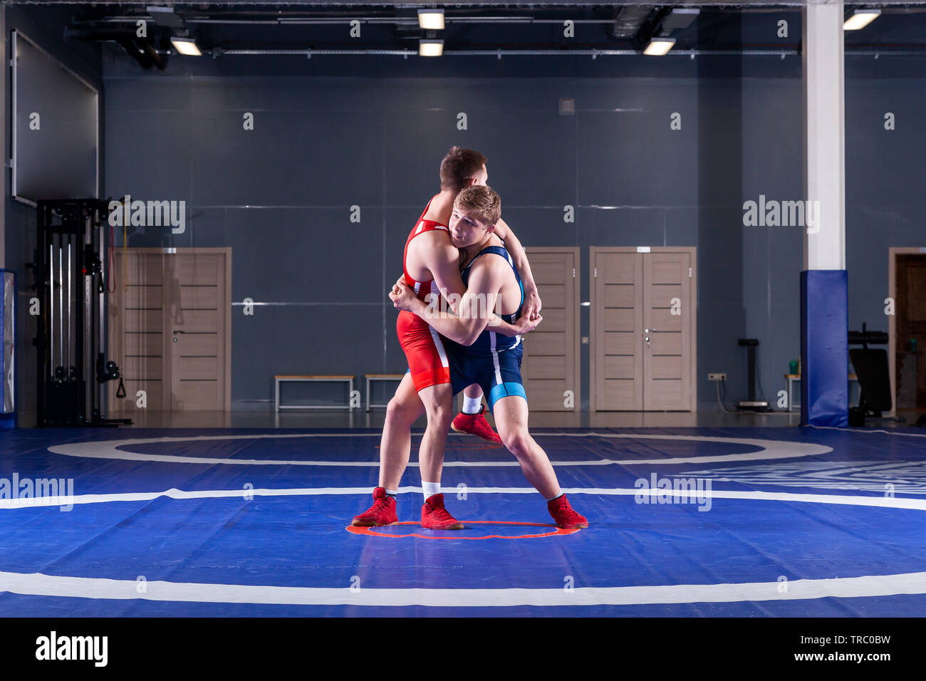 Two strong wrestlers in blue and red wrestling tights are wrestlng and