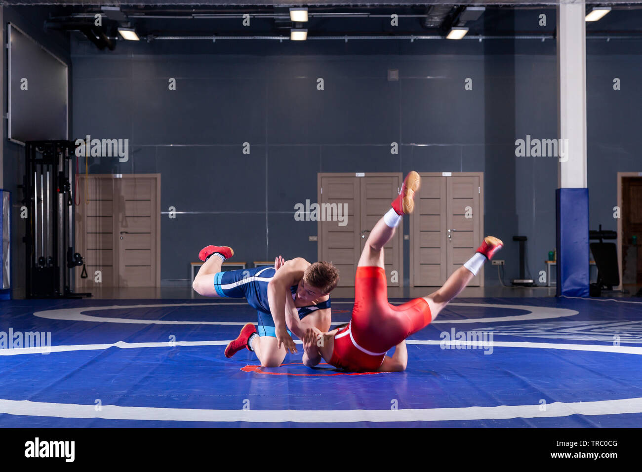 Two strong wrestlers in blue and red wrestling tights are wrestlng and