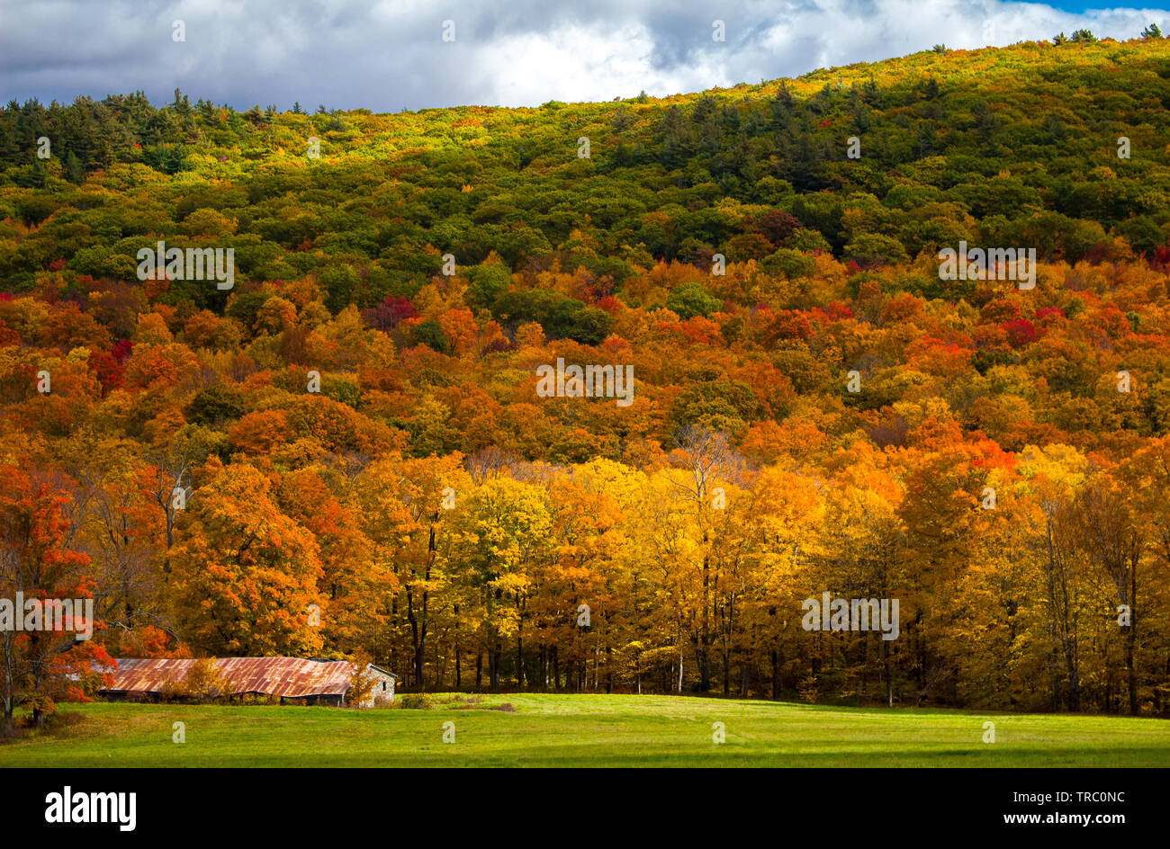 Fall Colors of New England Stock Photo Alamy