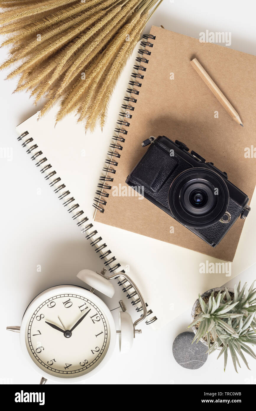 Travelling planning concept. Office table desk, notbook, camera, flower. Flat lay composition, social media and artists. Top view, home office workspa Stock Photo