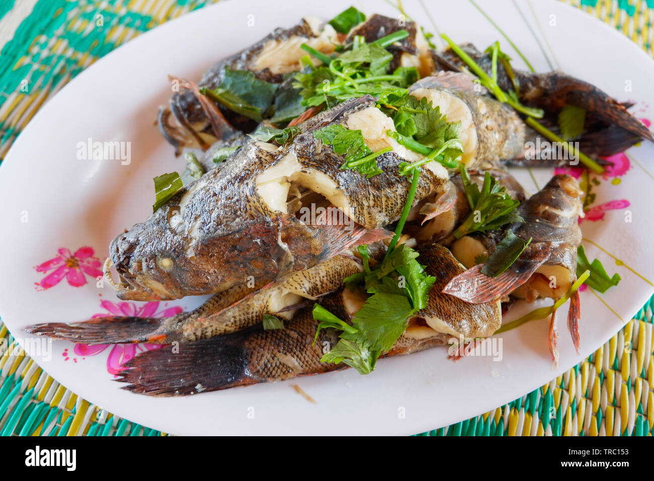 Cooked goby fish steamed with vegetable and herb on plate Stock Photo