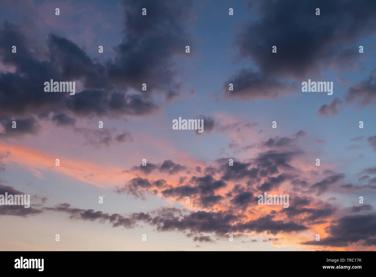 Beautiful clouds and blue sky background at sunset with pink and purple ...