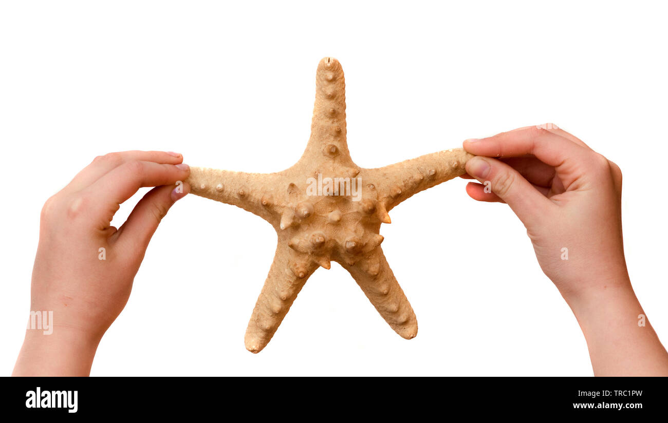 Girl's hands holding starfish isolated on white background Stock Photo