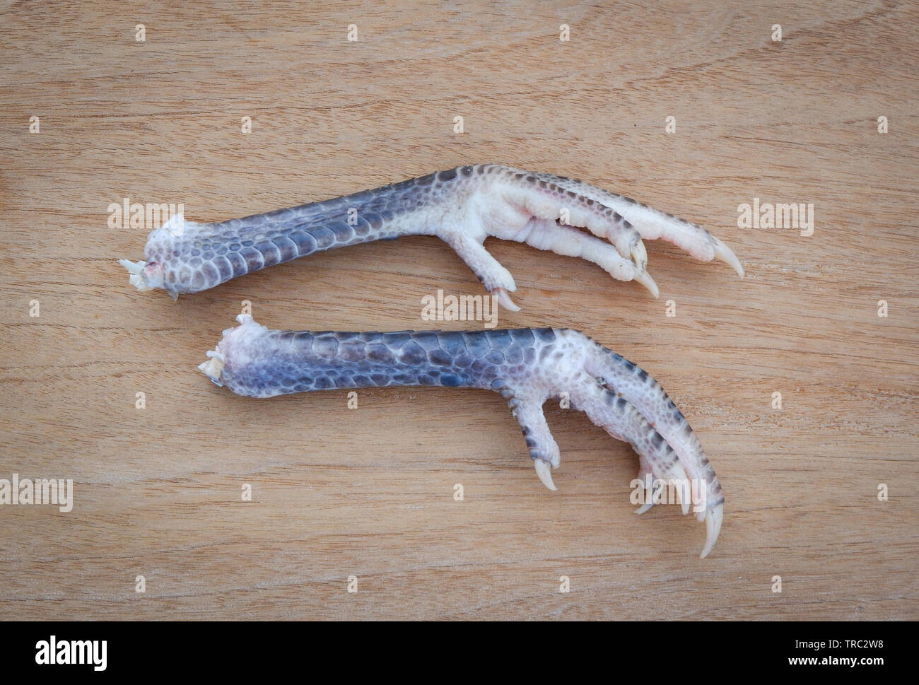 black chicken feet on wooden background / feet bantam Stock Photo - Alamy