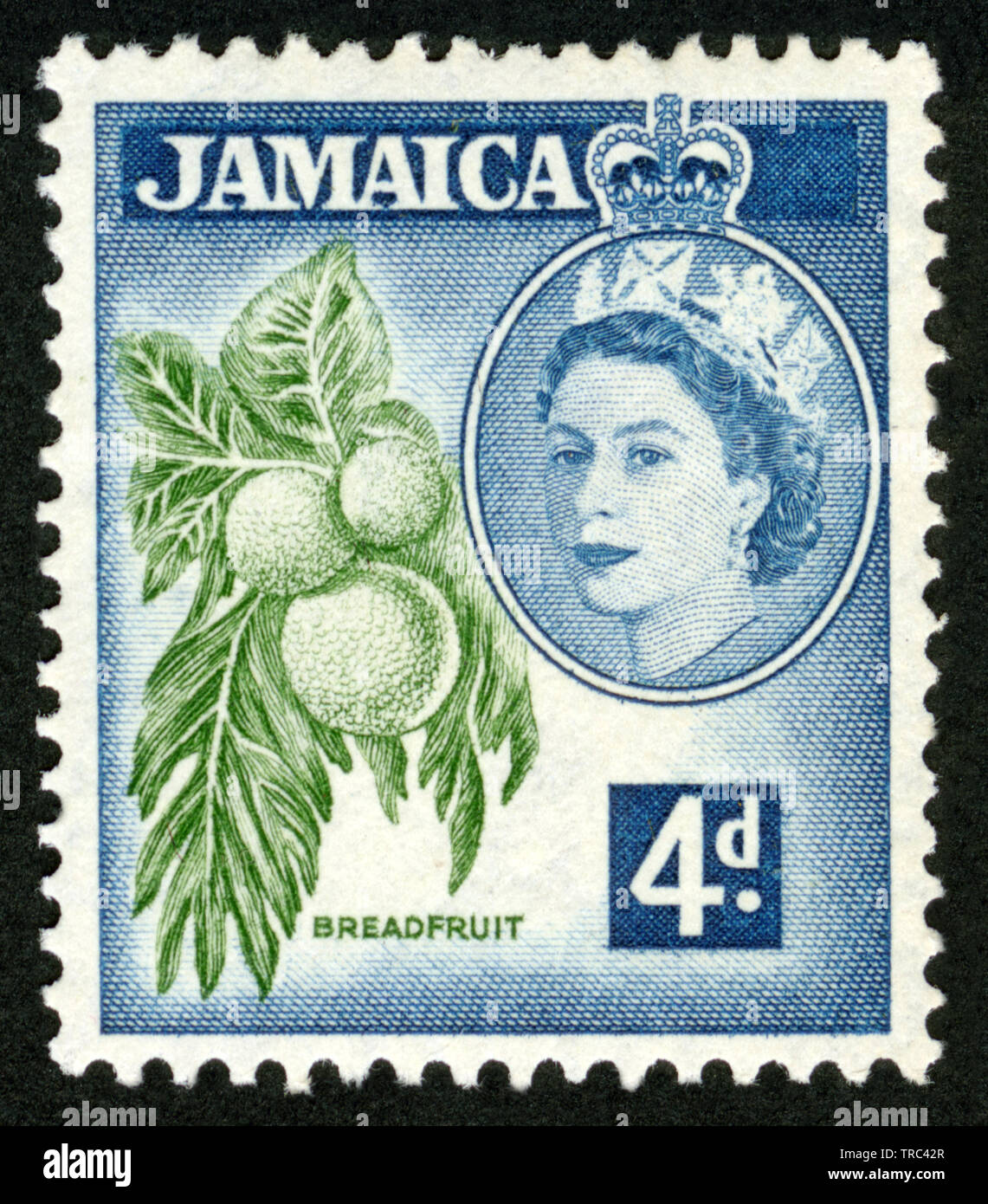 Stamp print in Jamaica,Breadfruit Stock Photo Alamy
