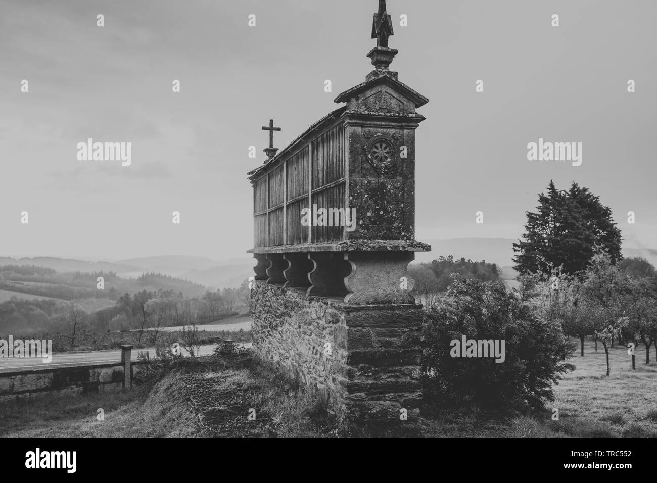 Galician horreo in black and white, at the countryside Stock Photo
