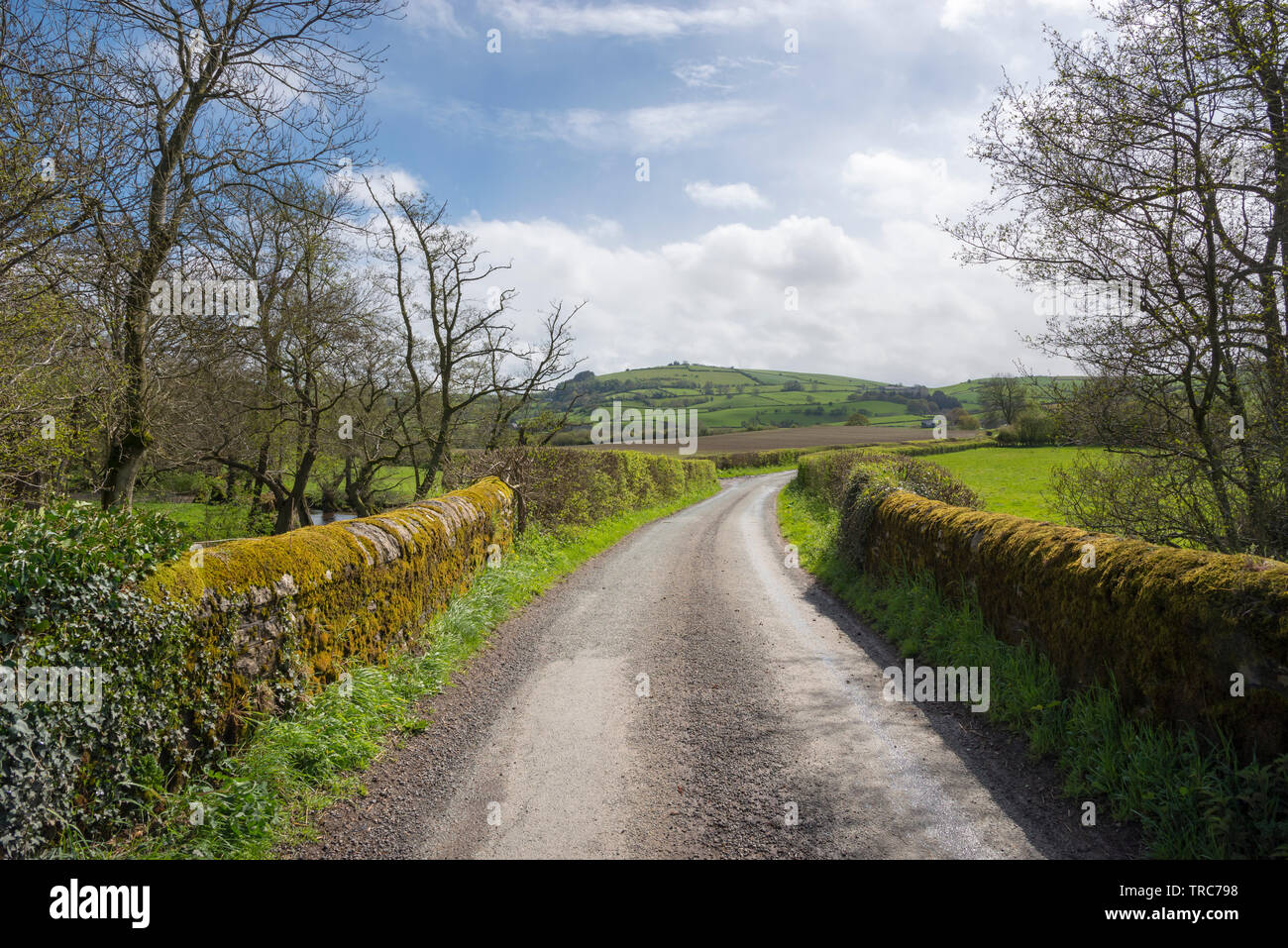 Country lane near Clun in the Shropshire countryside on a beautiful sunny spring day. Stock Photo