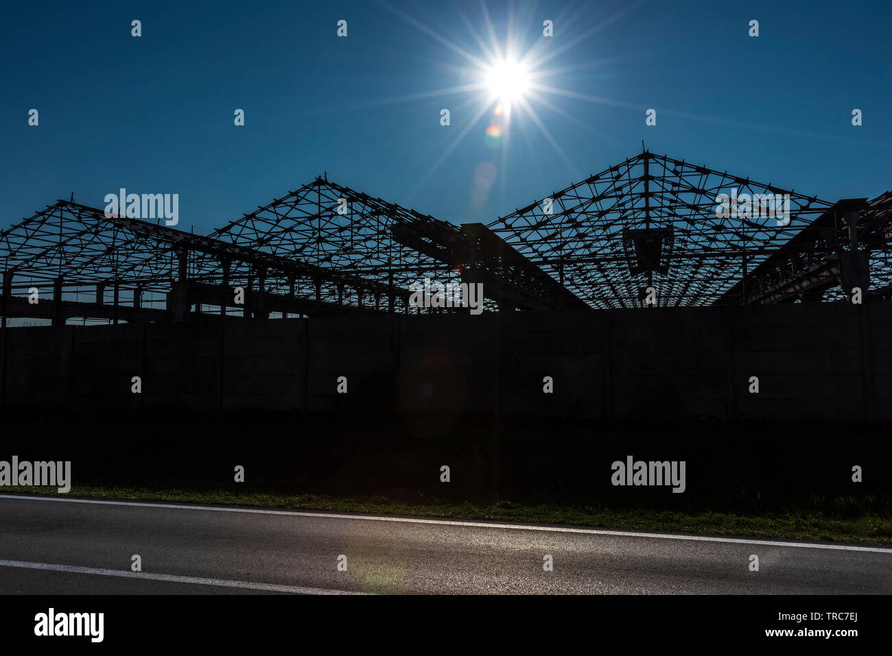High contrast backlit hi-res stock photography and images - Alamy