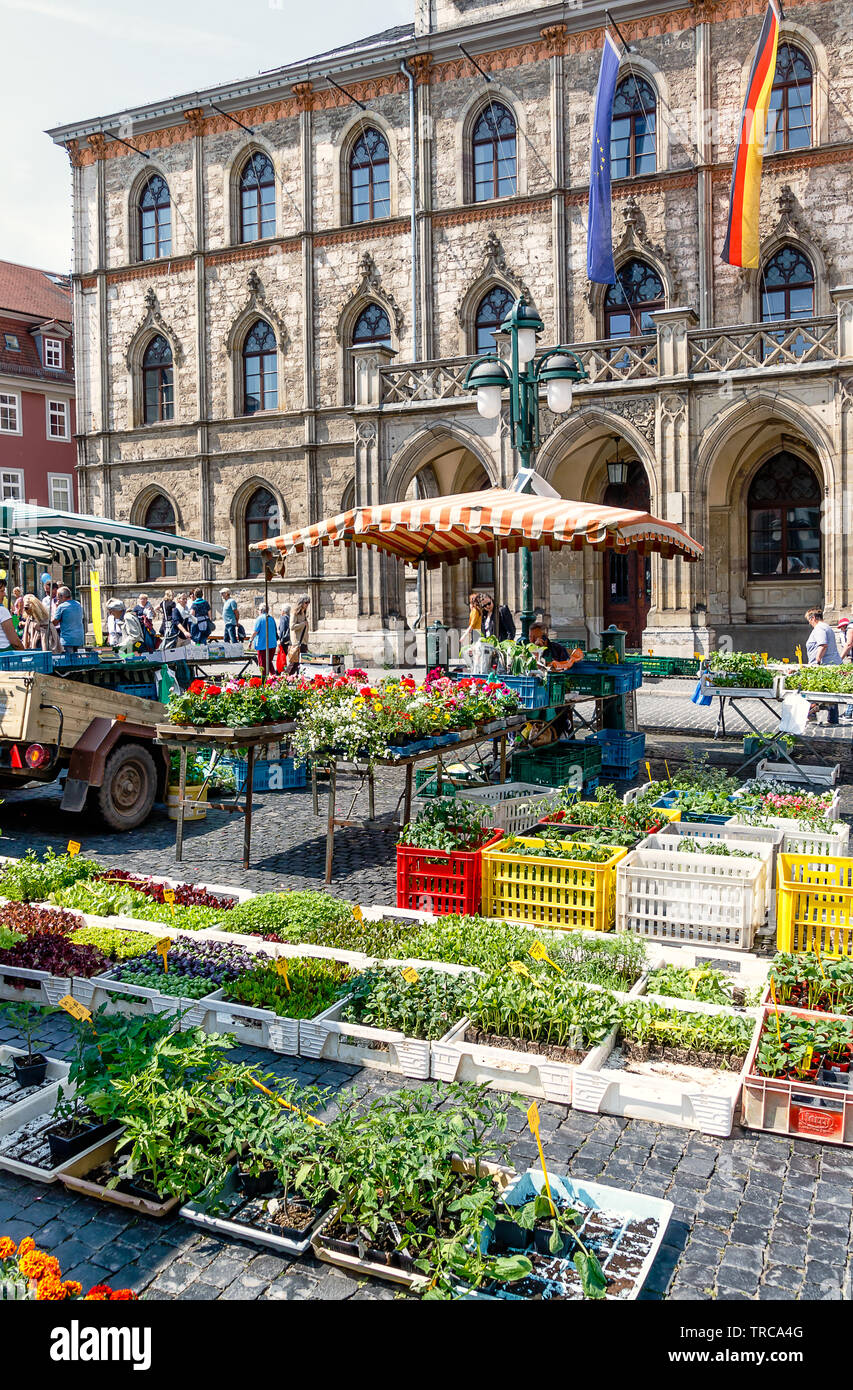 WEIMAR, GERMANY-MAY 24, 2019: Weekly market in the market square in front of the town hall. Stock Photo