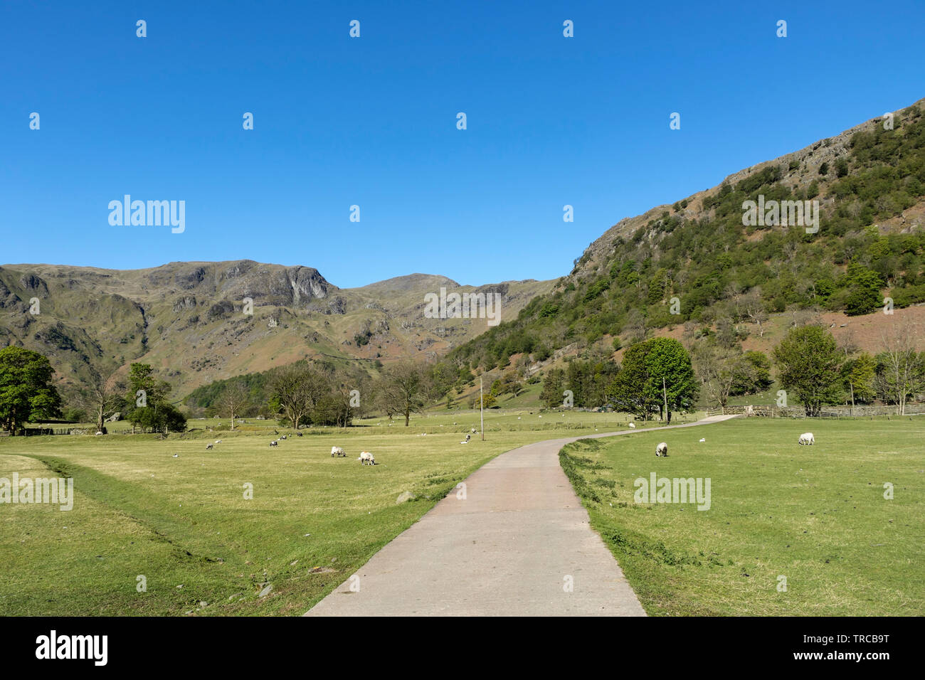 Dovedale and Dove Crag from Sykeside, Lake District, Cumbria, UK Stock Photo