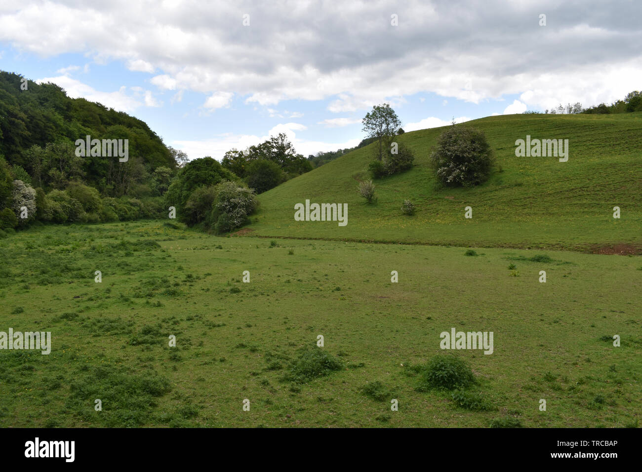 River Frome Valley near Chalford, Gloucestershire Stock Photo Alamy