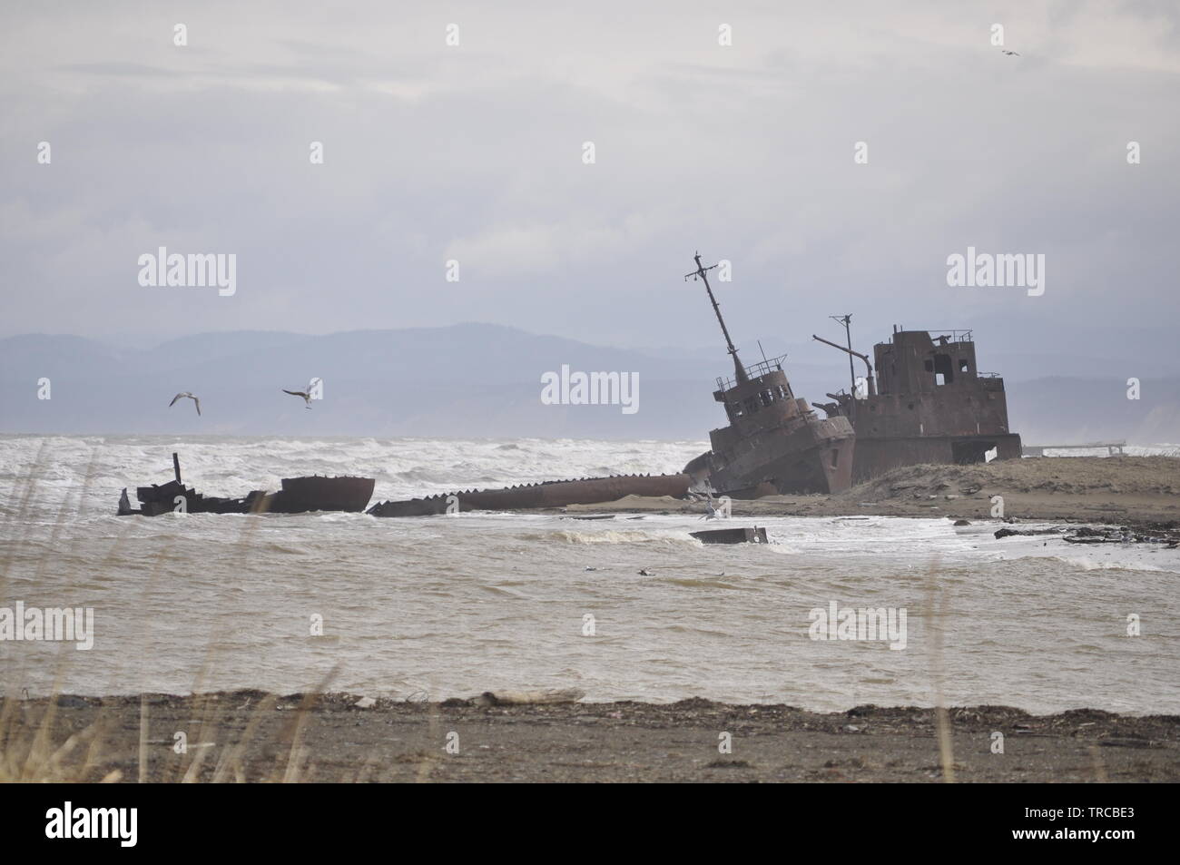 Ship wrecks at the mouth of the River Aleksandrovsk, Aleksandrovsk-Sakhalinsky Александровск-Сахалинский  Остров  Сахалин, Sakhalin Island, Russia Stock Photo