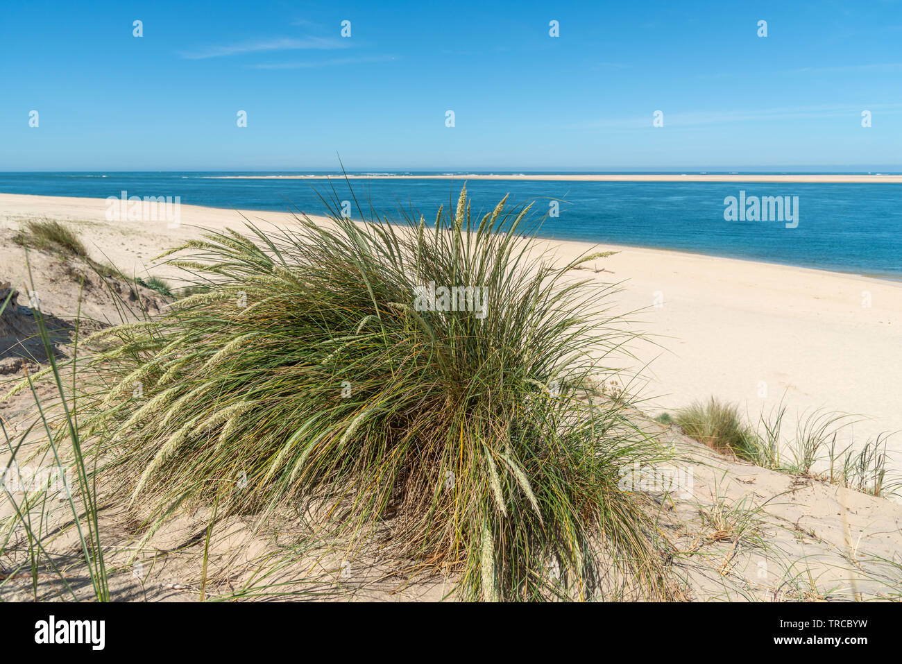 Arcachon Bay (France), the beach 'Petit Nice' close to the dune of Pilat and facing the sandbank of Arguin Stock Photo