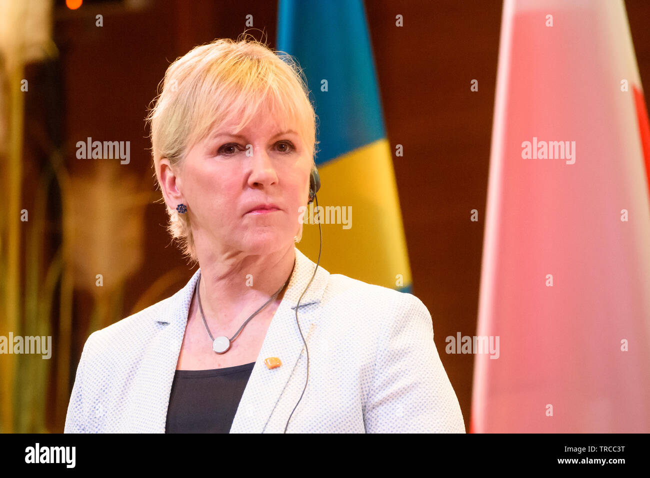 JURMALA, Latvia. , . Margot Wallstrom, Minister of Foreign Affairs of Sweden, during Press conference aftter High-level meeting of the Latvian Presidency of the Council of the Baltic Sea States (CBSS) in Jurmala, Latvia. Credit: Gints Ivuskans/Alamy Live News Stock Photo