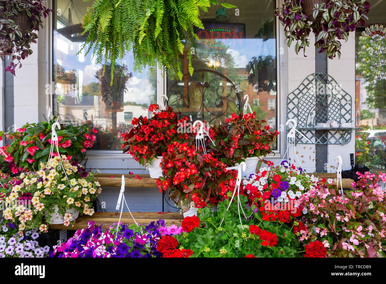 Small business flower shop with potted hanging plants Stock Photo