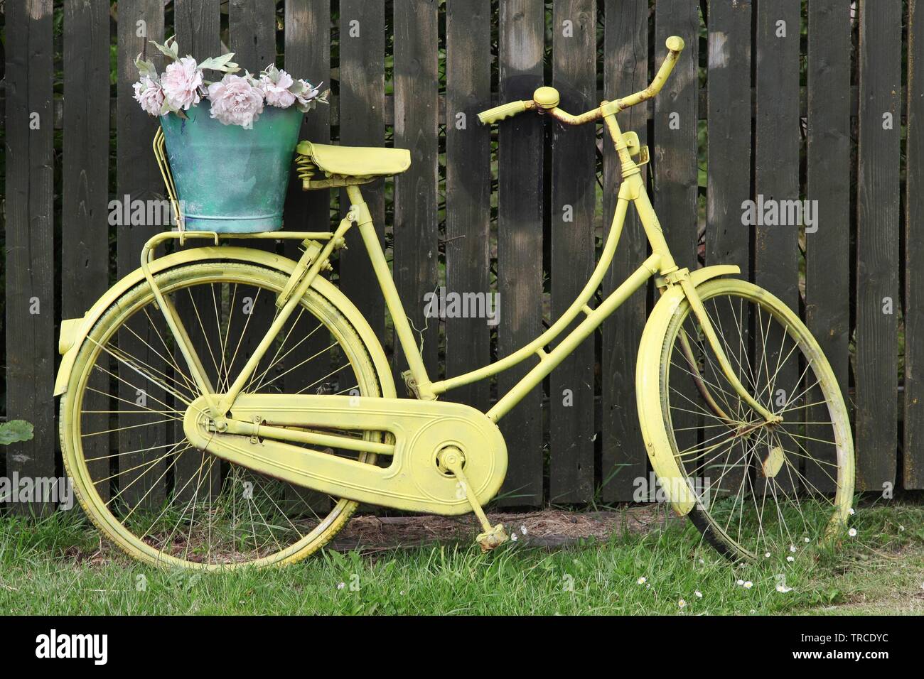 Pale yellow bike sale