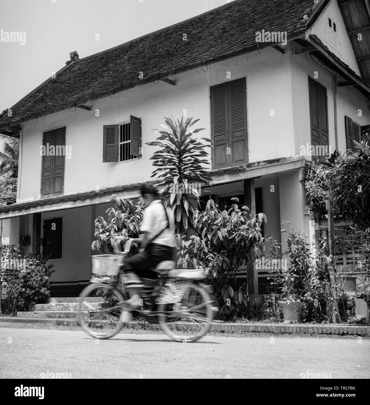 mainstreet cycles