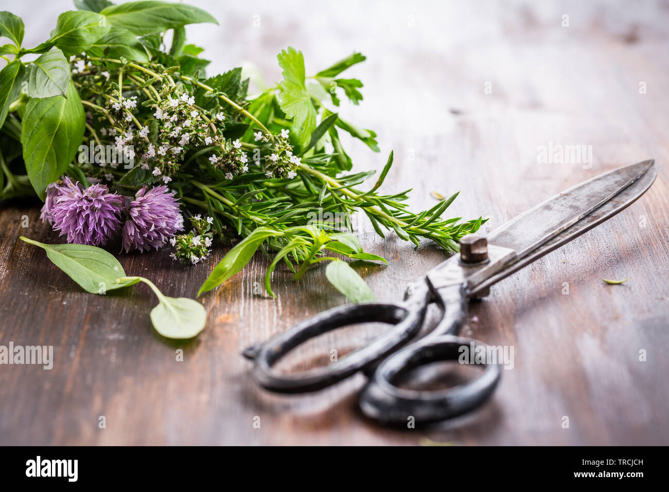 Bunch of different herbs for cooking on wooden background Stock Photo