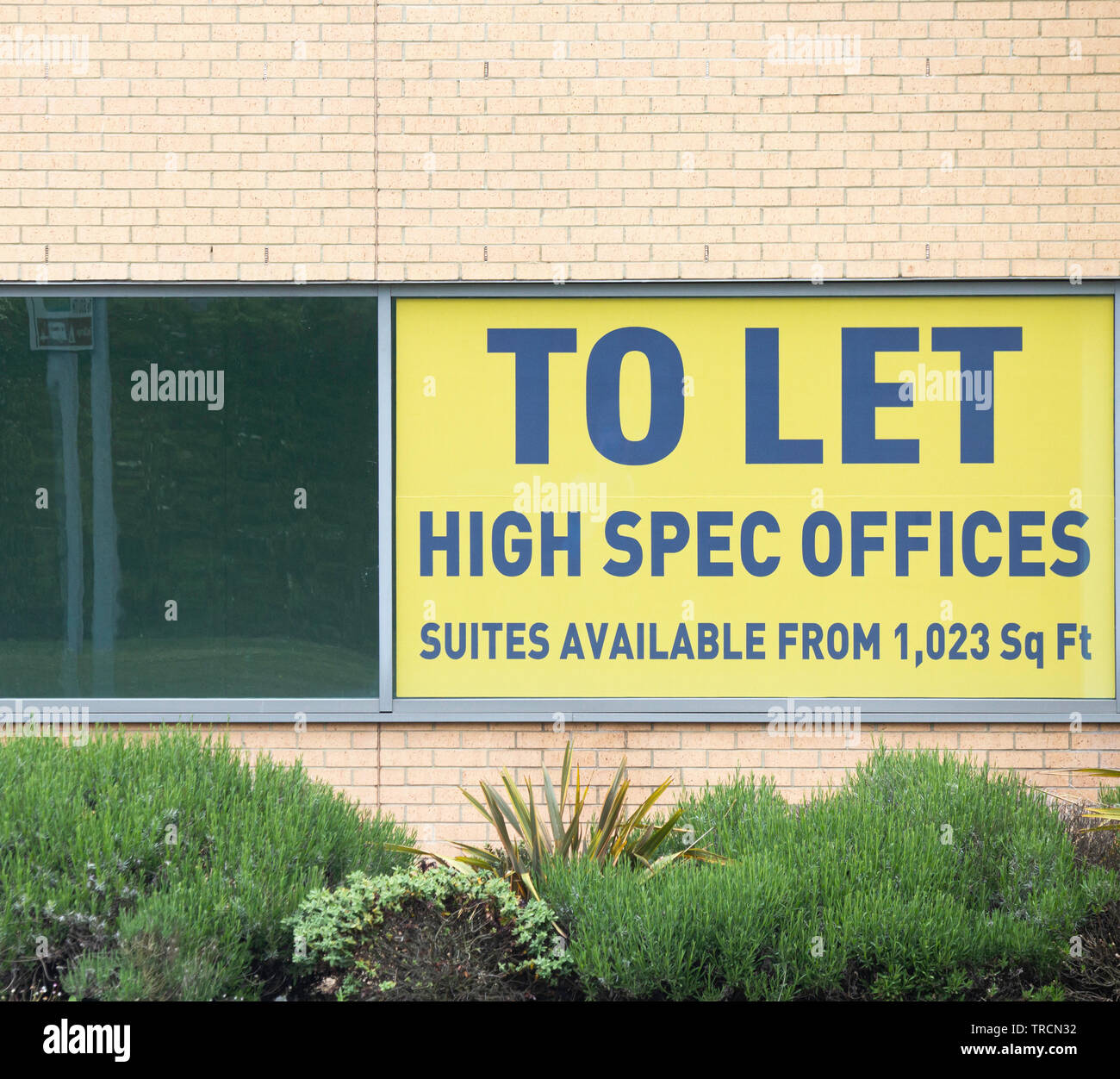 High spec offices to let. UK Stock Photo