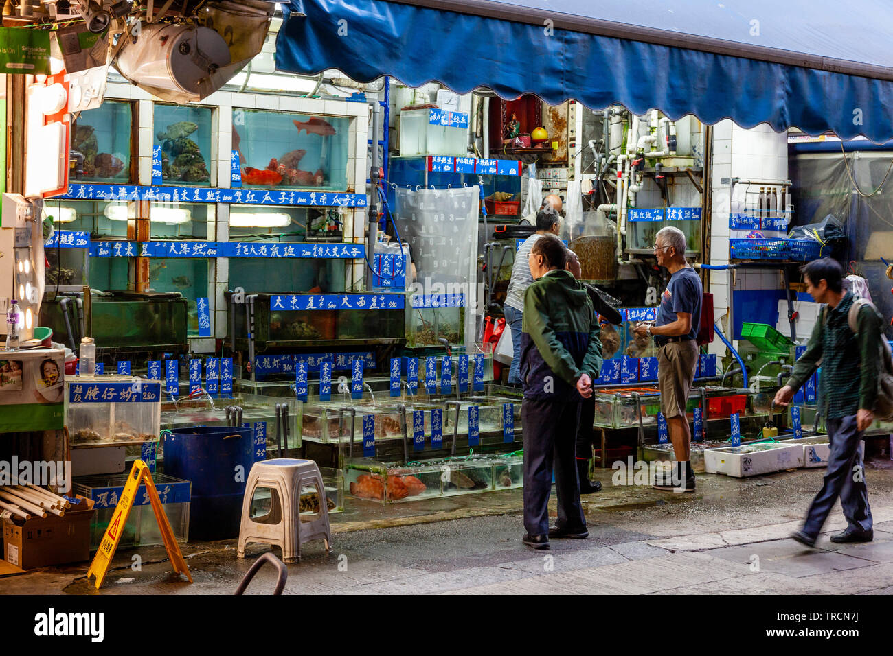 Live bait and tackle near me Outlet
