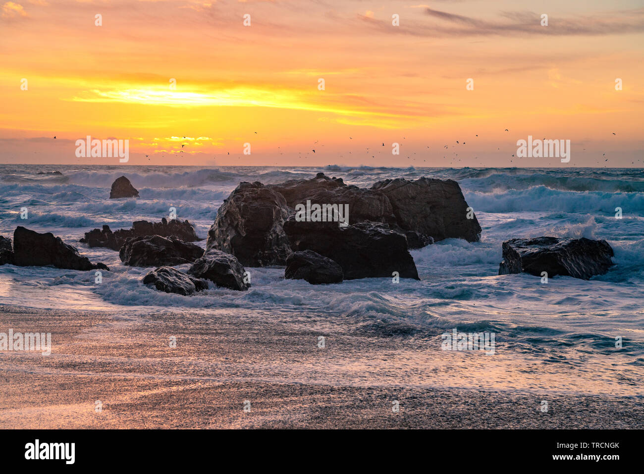 Big Sur, California - Beautiful sunset on a California beach with large waves crashing over rocks and a flock birds flying in the distance. Stock Photo