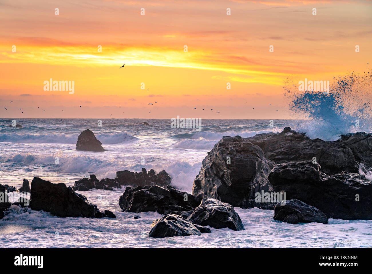 Big Sur, California - Beautiful sunset on a California beach with large waves crashing over rocks and a flock birds flying in the distance. Stock Photo