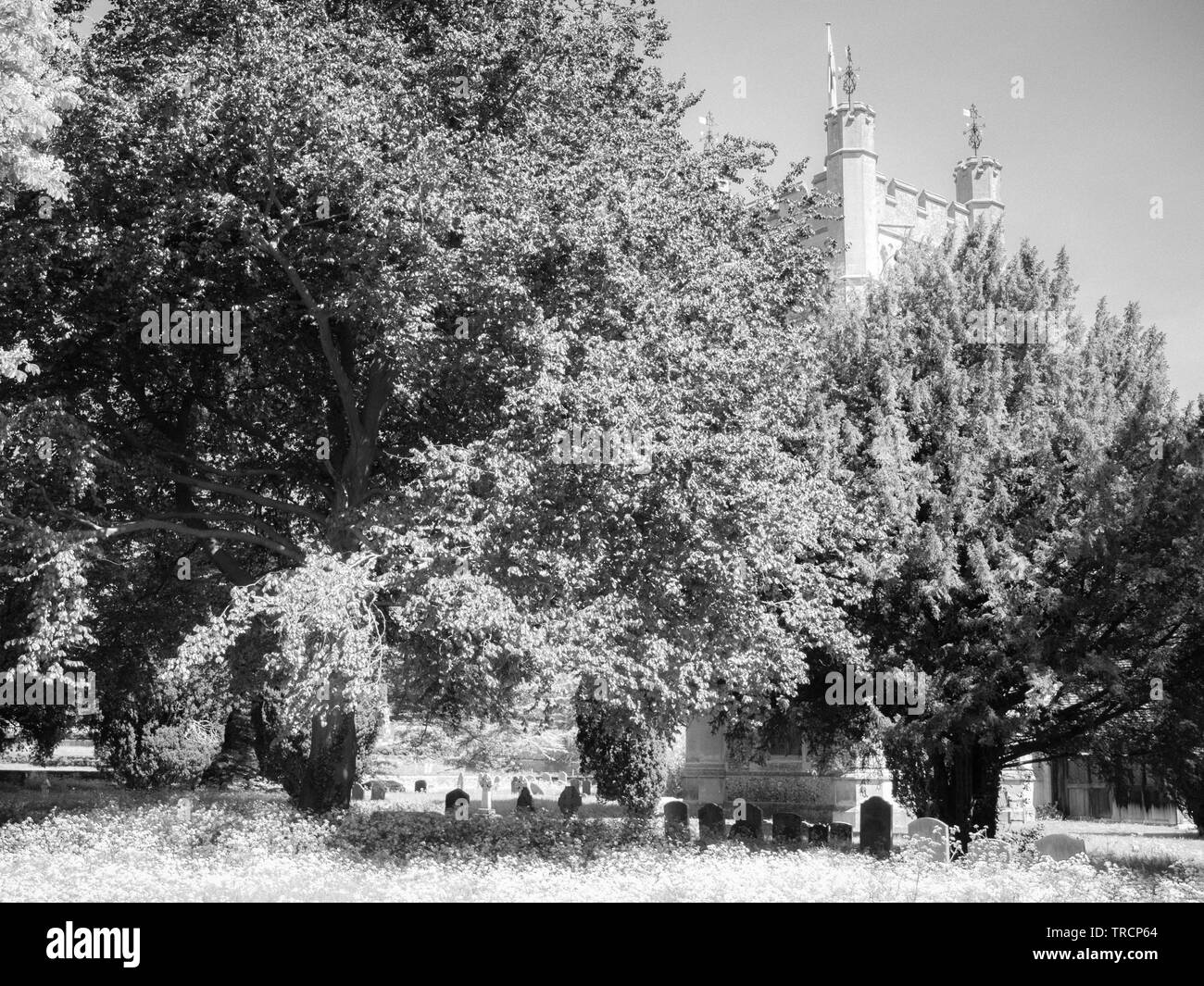 Graveyard, St Mary the Virgin Church Hambleden, used in TV Show Good Omens, Buckinghamshire, England, UK, GB. Stock Photo