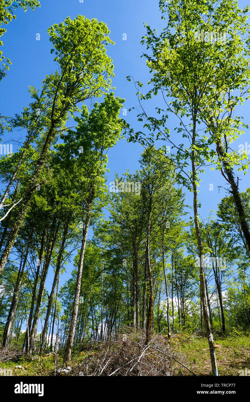 La Haut High Resolution Stock Photography And Images Alamy