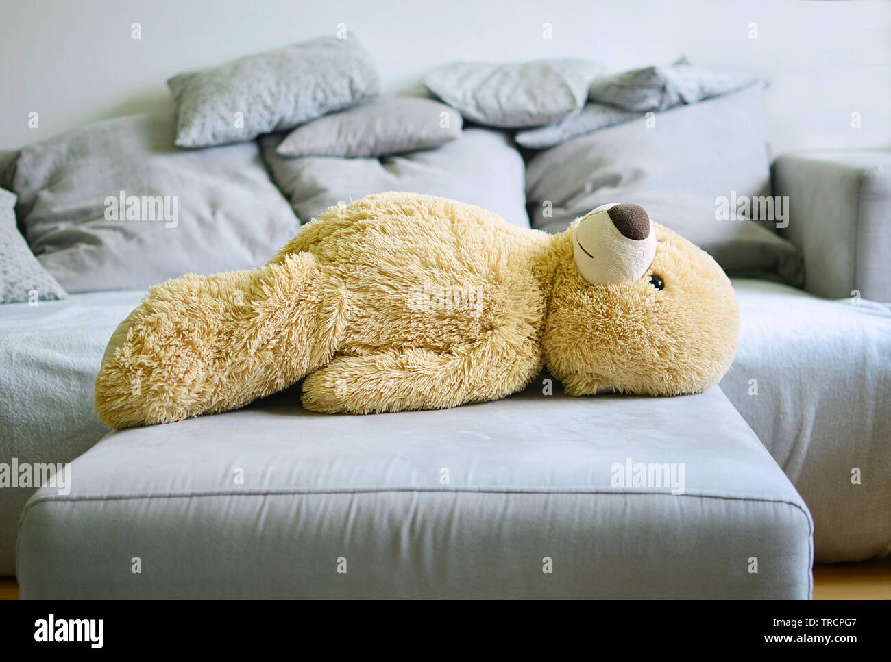 the big teddy bear lies on a sofa Stock Photo