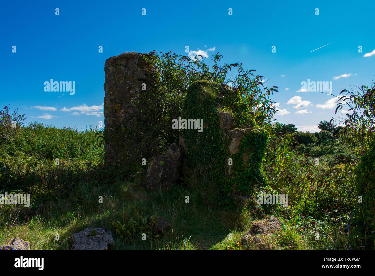 Cornwall Engine House Ruins Stock Photo Alamy
