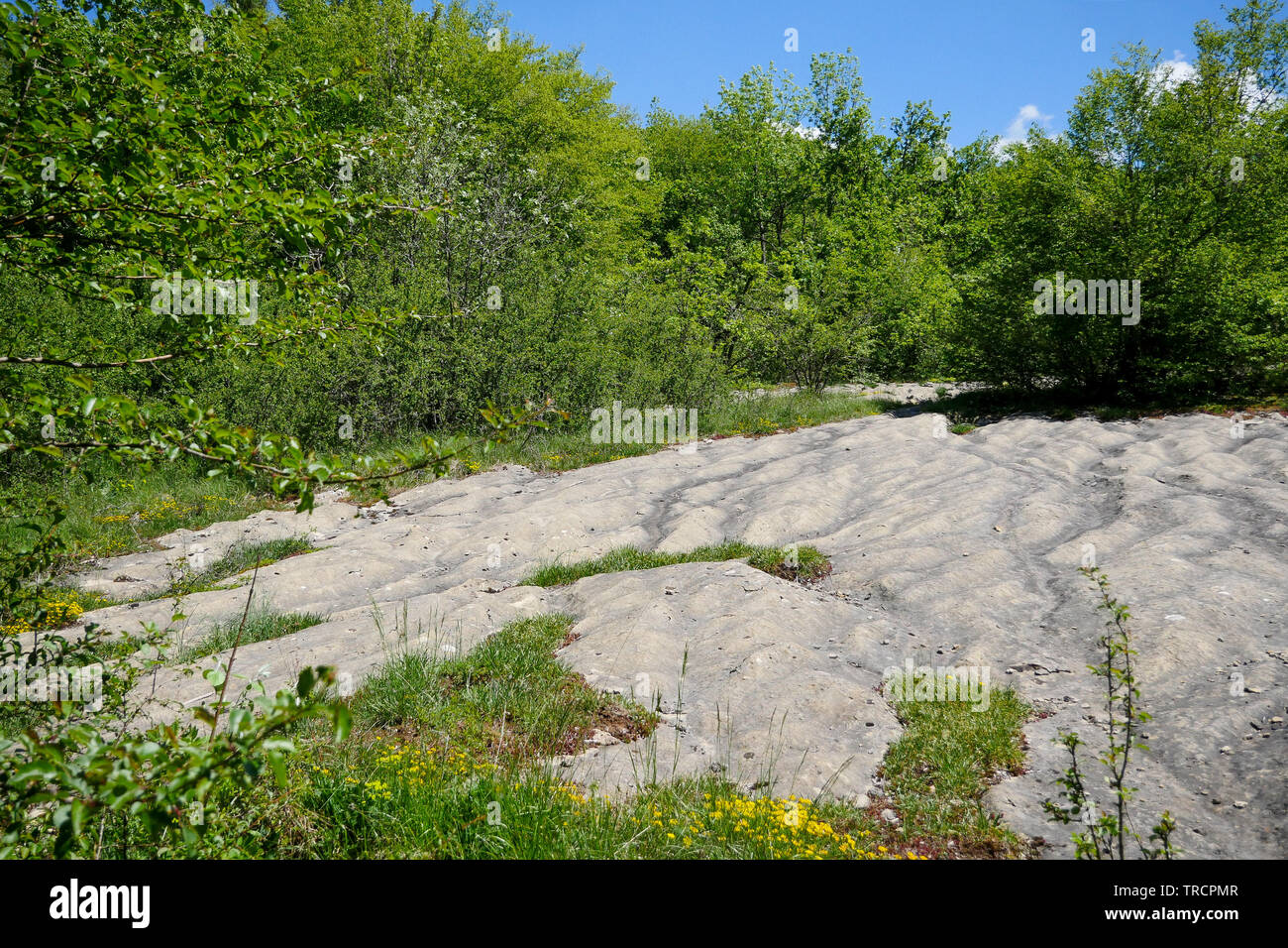 Rocky slabs sculpted by erosion, La Ragiaz, Ain, France Stock Photo