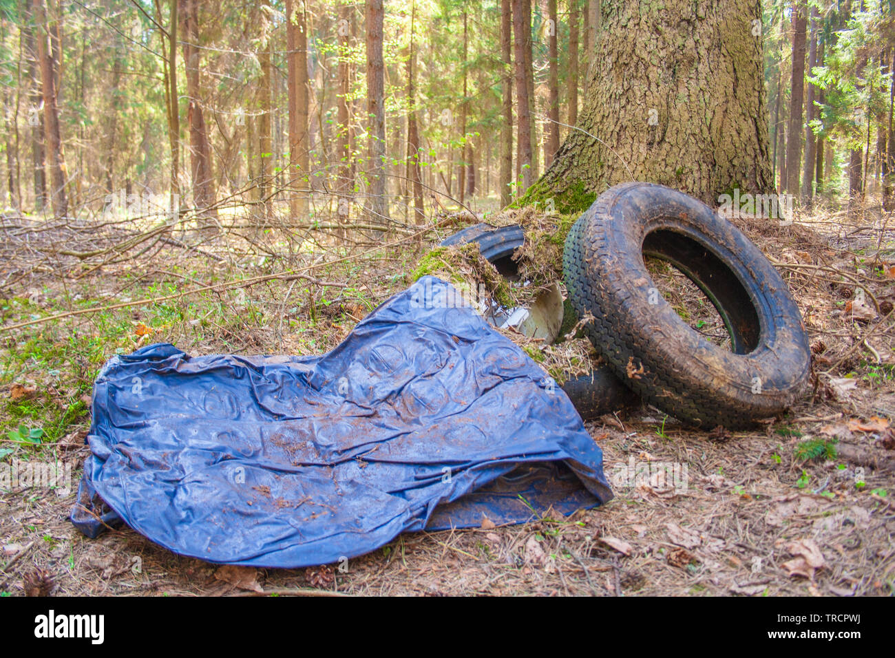 Trash in forest hires stock photography and images Alamy