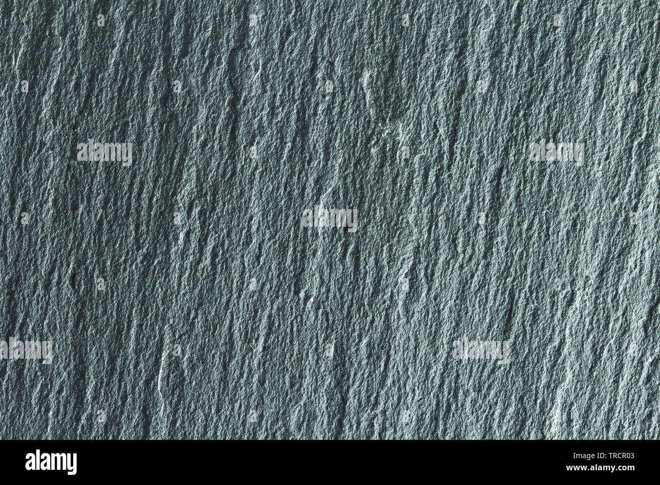 grey black slate background or texture. Stock Photo
