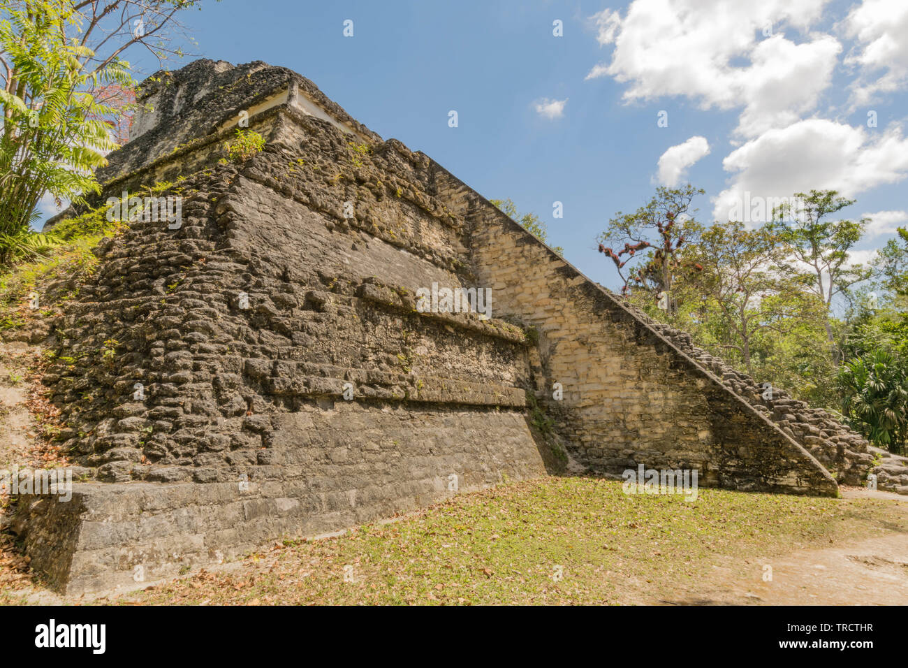 Ancient Mayan Pyramids at Tikal National Park, in Guatemala Stock Photo