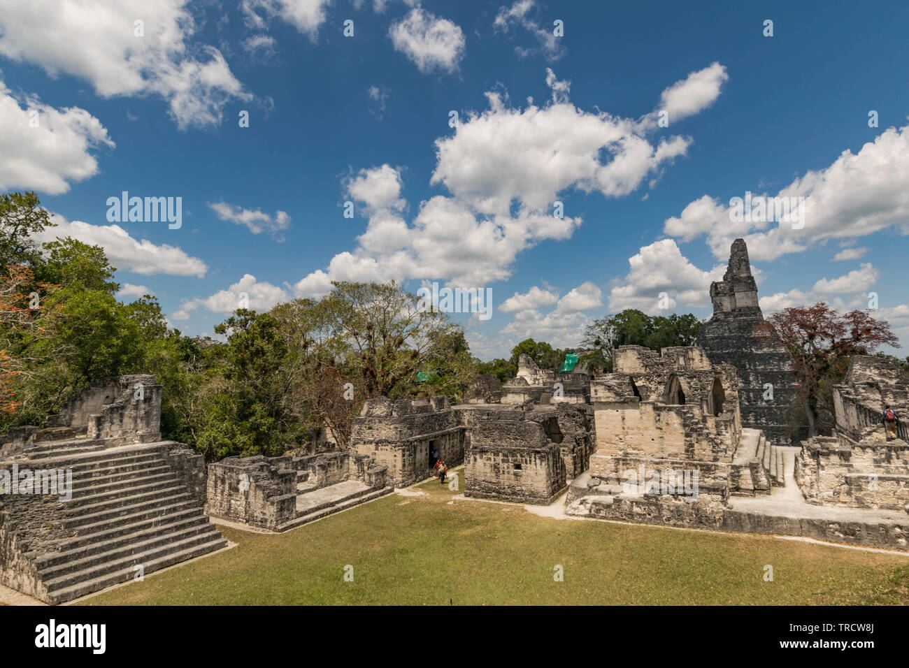 Ancient Mayan Pyramids at Tikal National Park, in Guatemala Stock Photo