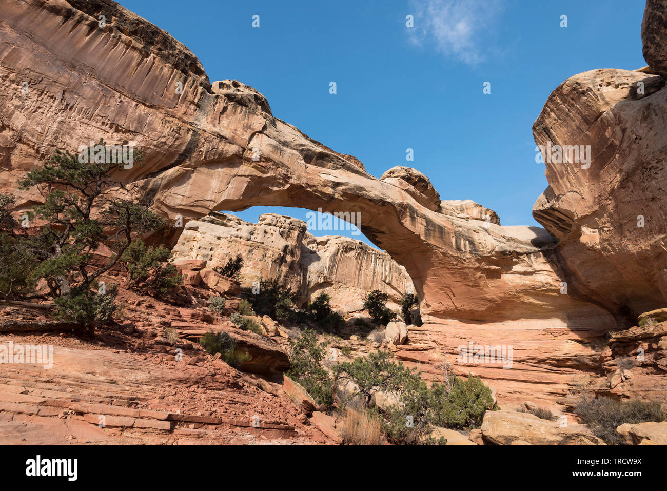 Hickman Bridge is a famous natural landmark located within Capital Reef