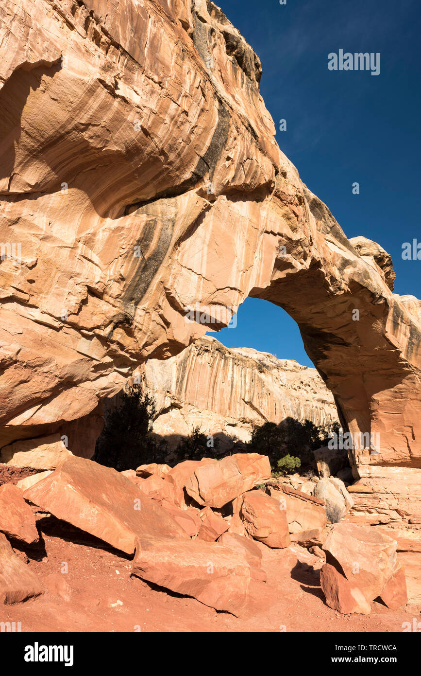 Hickman Bridge is a famous natural landmark located within Capital Reef National Park, Utah. Stock Photo