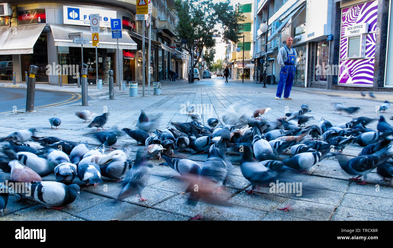 Street pigeons at Nicosia, slow shutter, birds flying, man watching