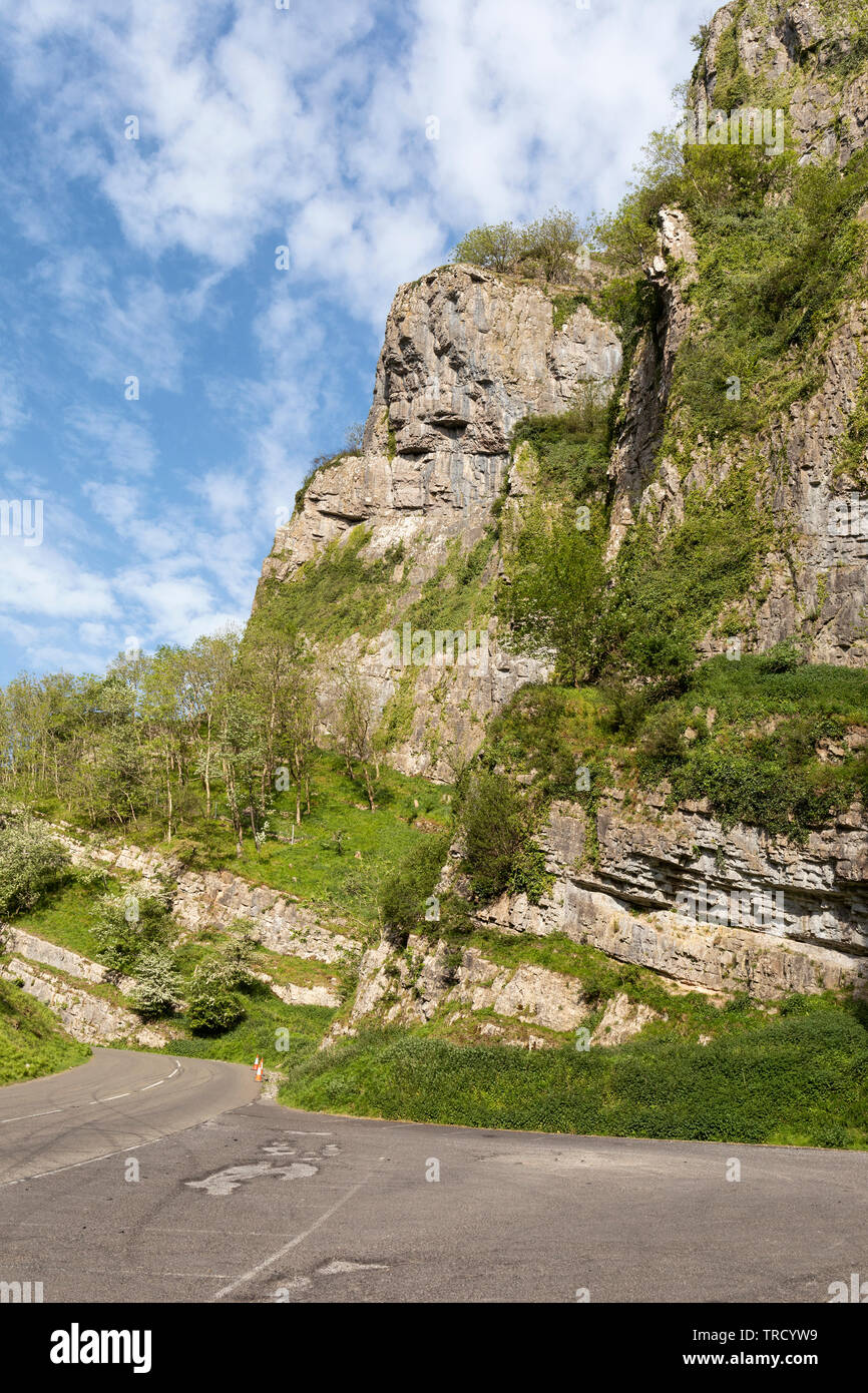 Cheddar Gorge is a limestone gorge in the Mendip Hills, Cheddar, Somerset, England, UK Stock Photo