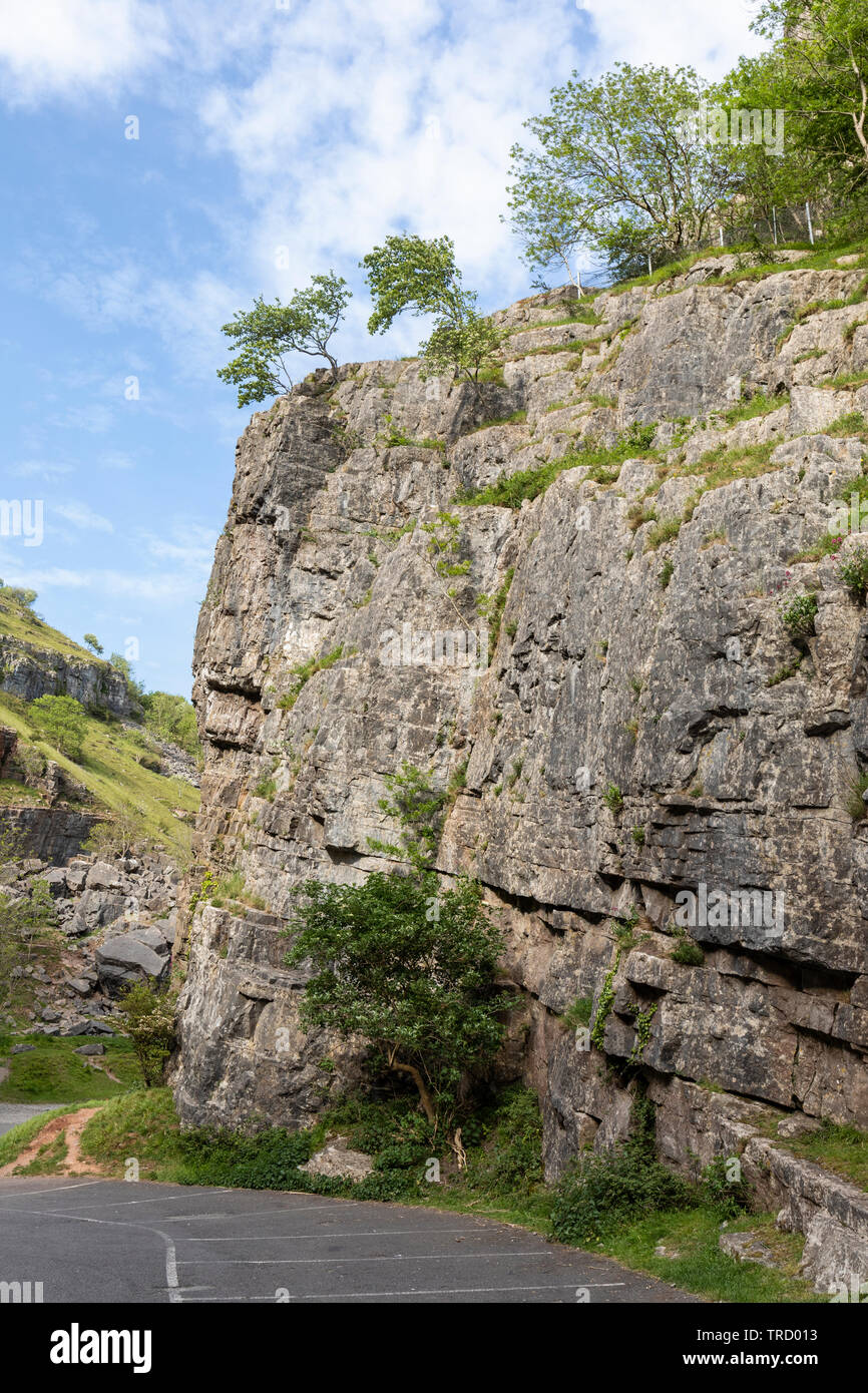 Cheddar Gorge is a limestone gorge in the Mendip Hills, Cheddar, Somerset, England, UK Stock Photo