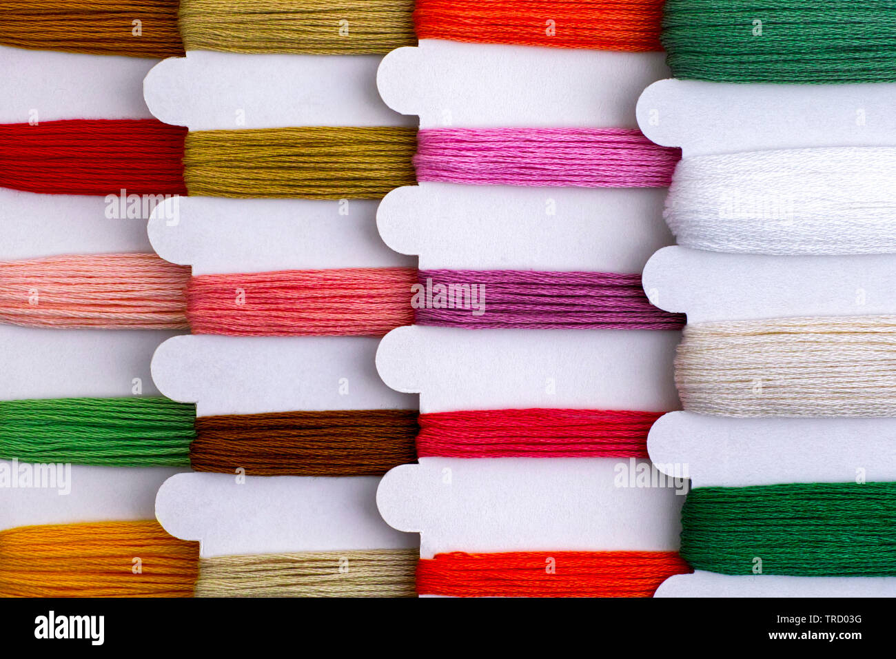 Colored embroidery threads on spools in a row ready for cross stitch. Close-up. Stock Photo