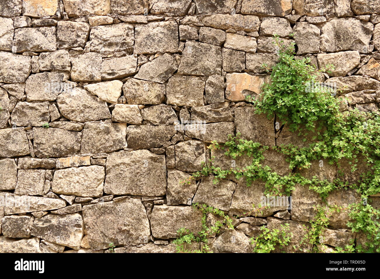 Big yellow wall made from stone bricks Stock Photo