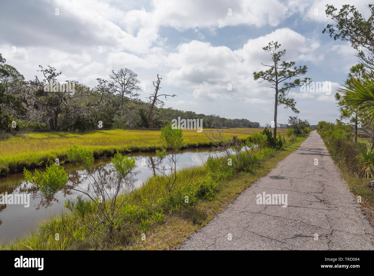 Jekyll island bicycle trail hires stock photography and images Alamy