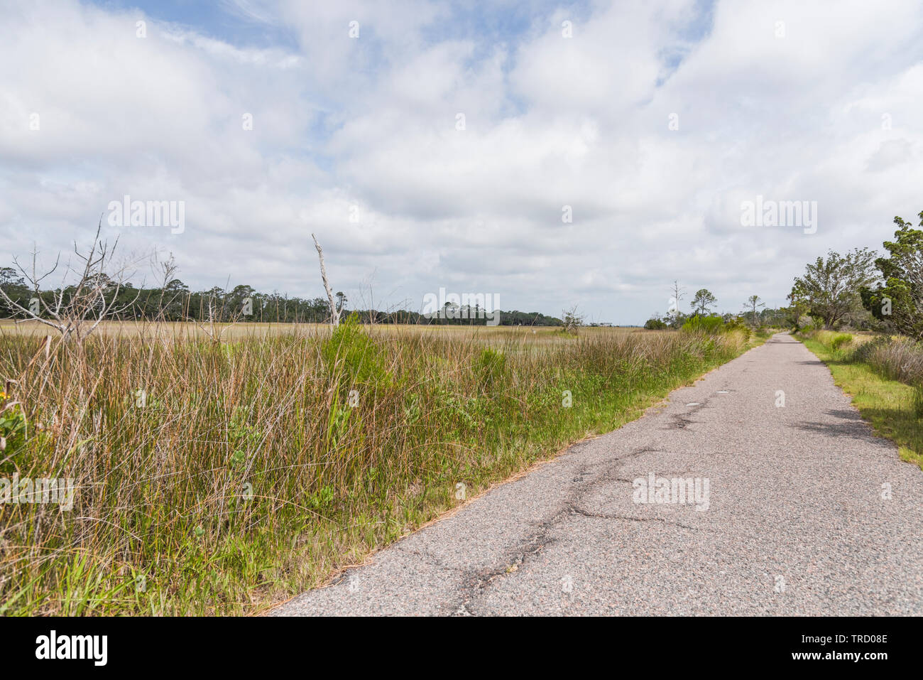 Jekyll Island Bicycle Trail Brunswick USA Stock Photo Alamy