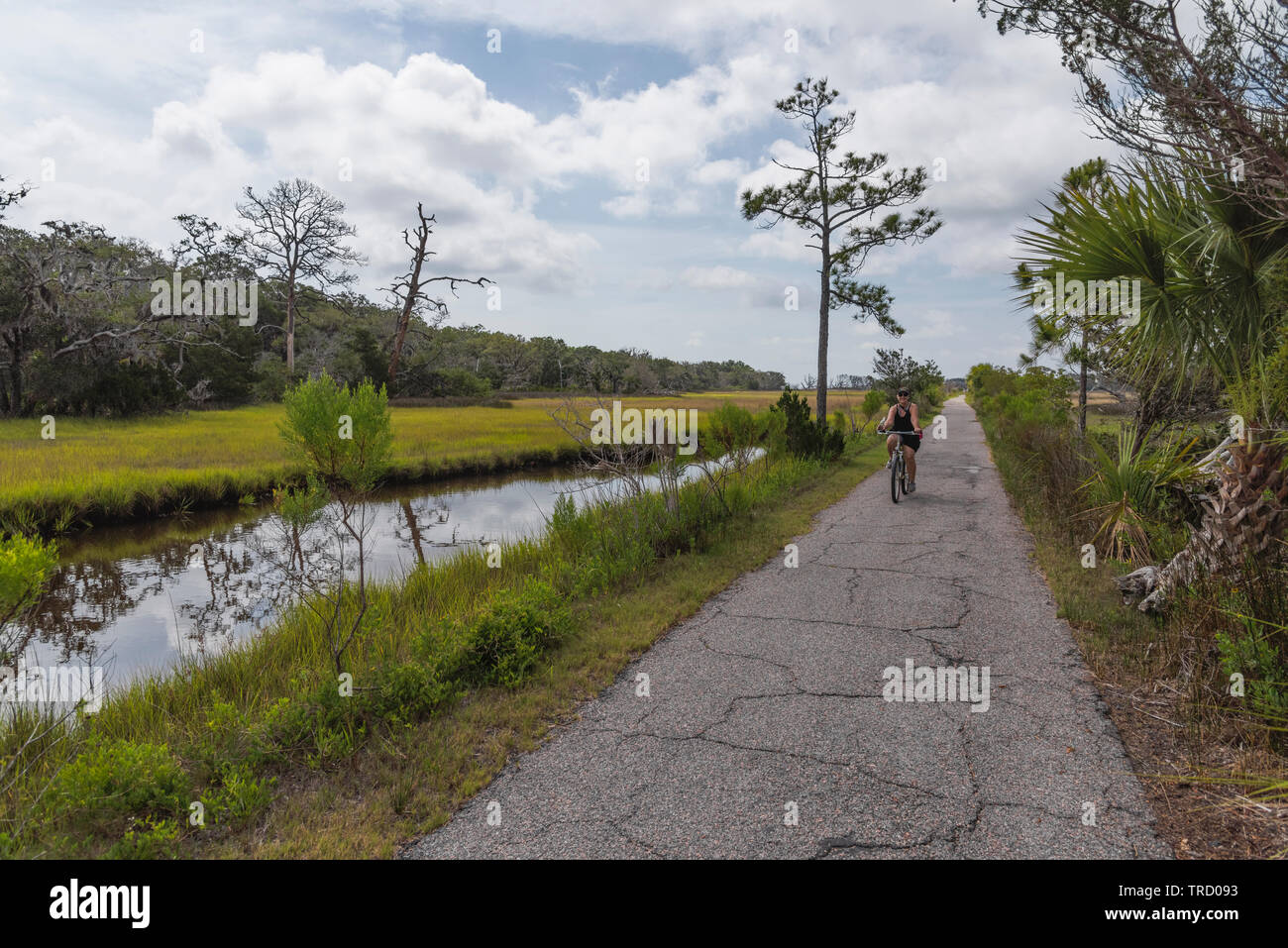 Bicycle riding on Jekyll Island Bike trails Brunswick, USA