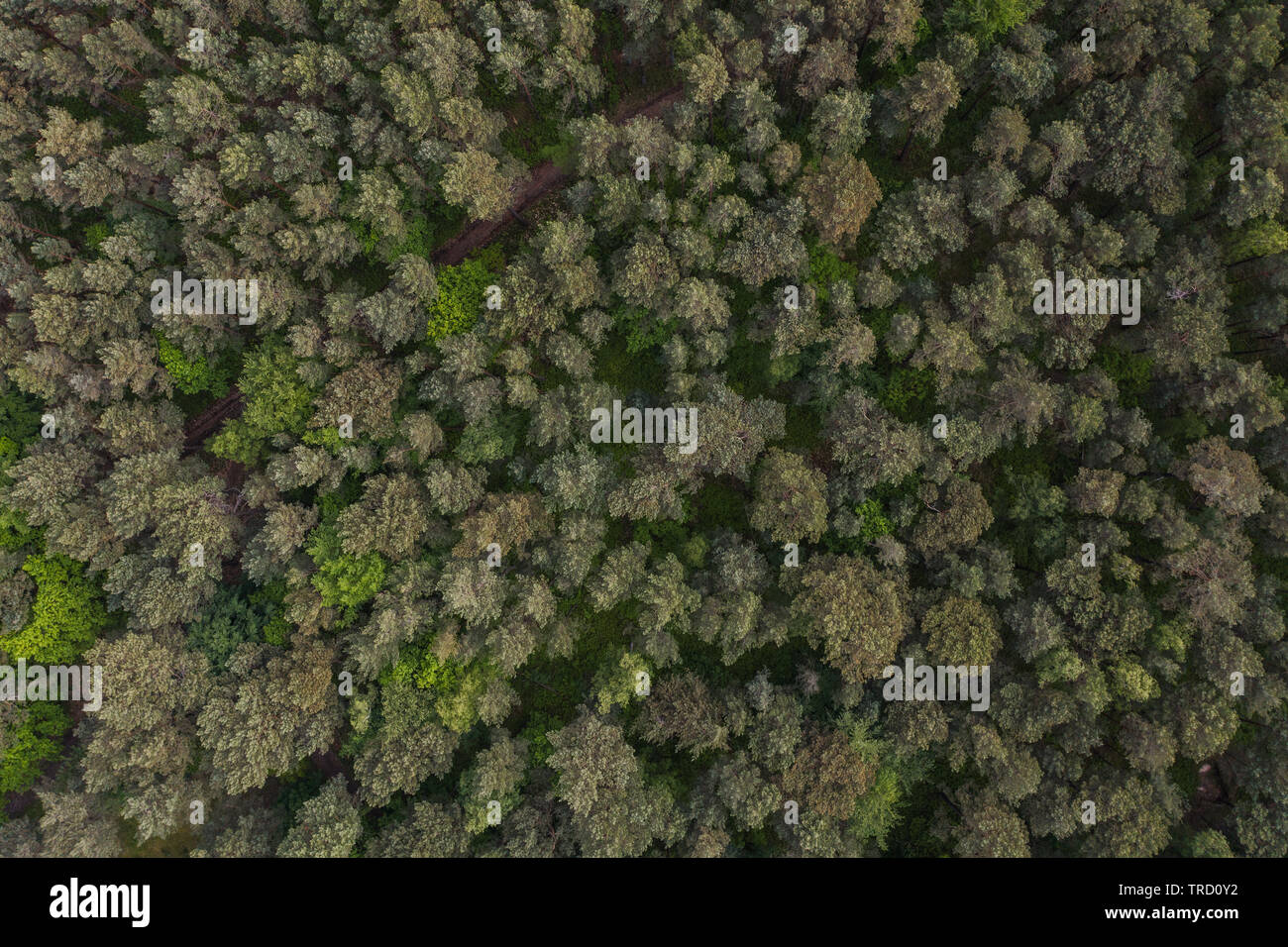 Aerial top down shot rural hi-res stock photography and images - Alamy
