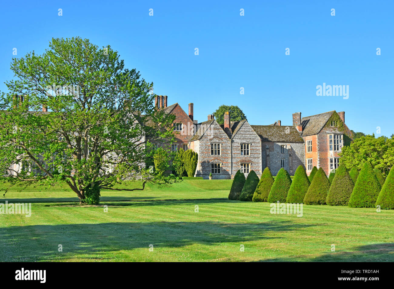 Elizabethan hotel with rural garden topiary & grass lawn in historic parkland & gardens rows of conifers Littlecote House beyond Wiltshire England UK Stock Photo